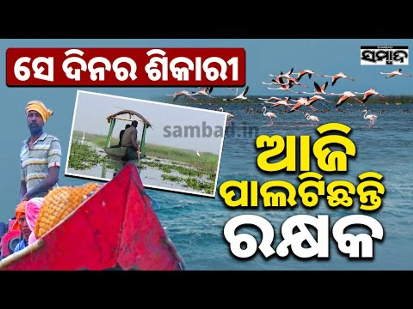 ସେ ଦିନର ଶିକାରୀ ଆଜି ପାଲଟିଛନ୍ତି ରକ୍ଷକ || Hunters Turn Protectors || Sambad