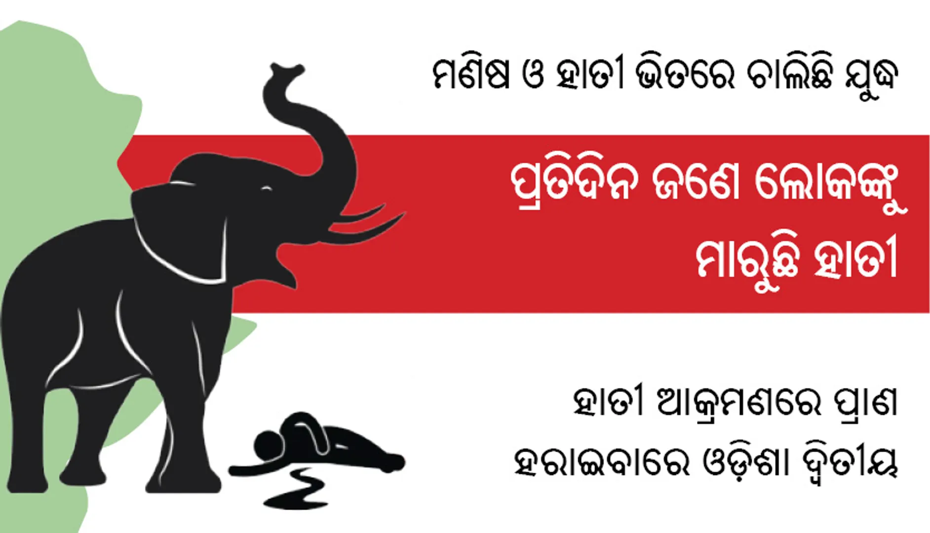 ମଣିଷ ଓ ହାତୀ ଭିତରେ ଚାଲିଛି ଯୁଦ୍ଧ, ପ୍ରତିଦିନ ଜଣେ ଲୋକଙ୍କୁ ମାରୁଛି ହାତୀ