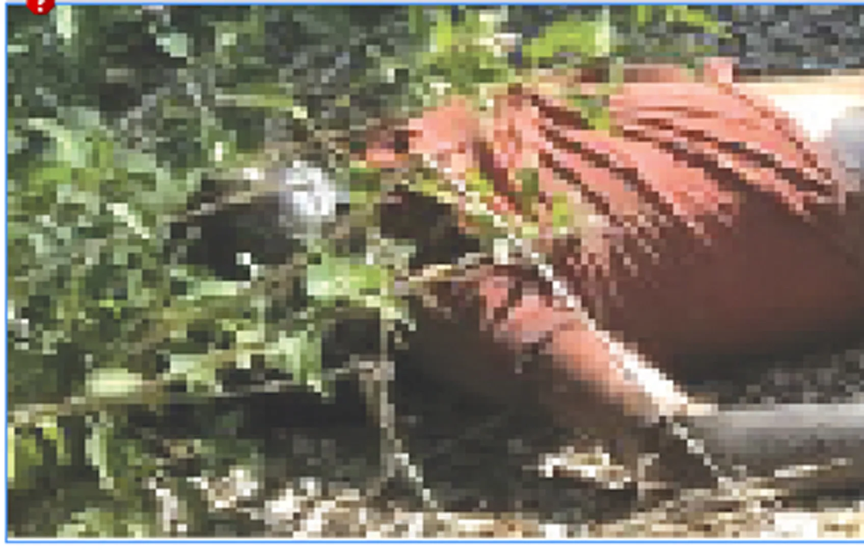 ପୋଖରୀରୁ ଶବ ଉଦ୍ଧାର, ହତ୍ୟା ସନ୍ଦେହ