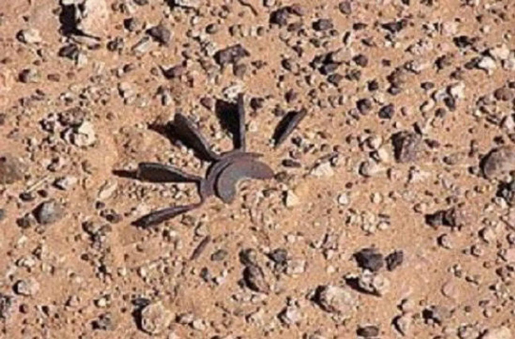 ଲ୍ୟାଣ୍ଡମାଇନ୍‌ ବିସ୍ଫୋରଣ, ୪ ଯବାନ ଆହତ