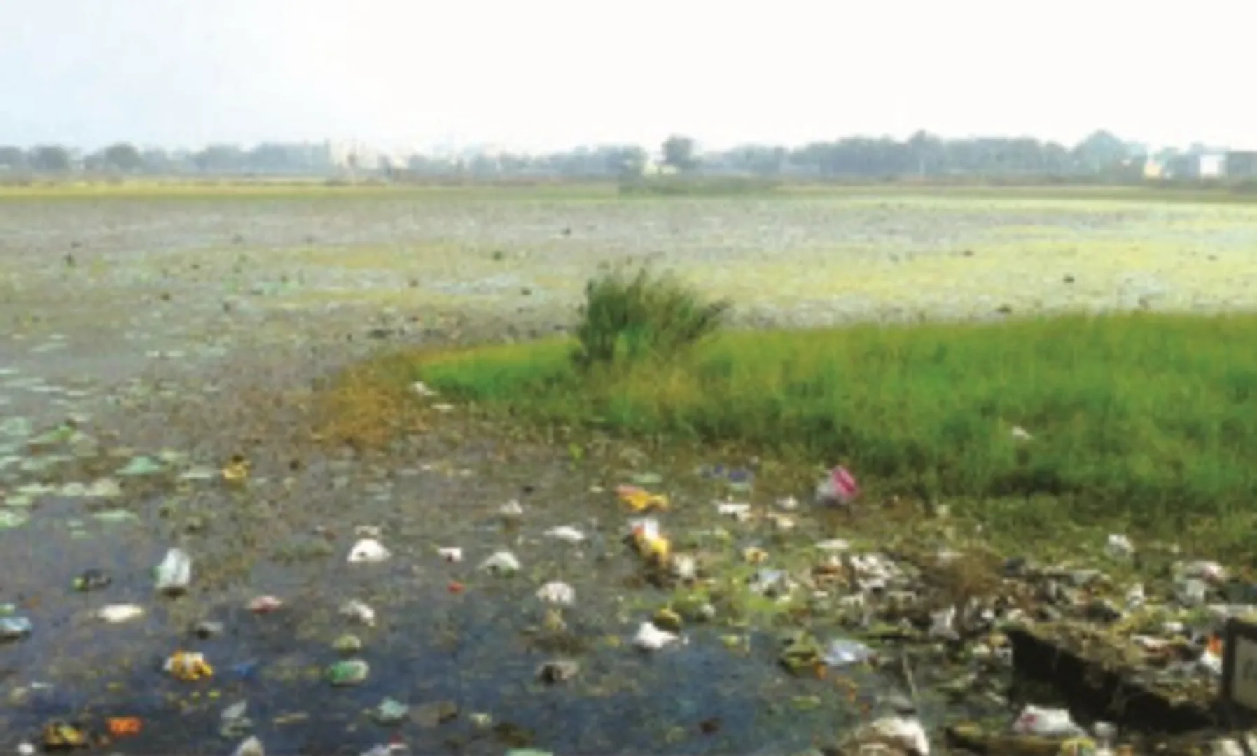 ନର୍ଦମା ପାଲଟୁଛି ଝାରସୁଗୁଡ଼ା ସହରର ୩୭ ପୋଖରୀ