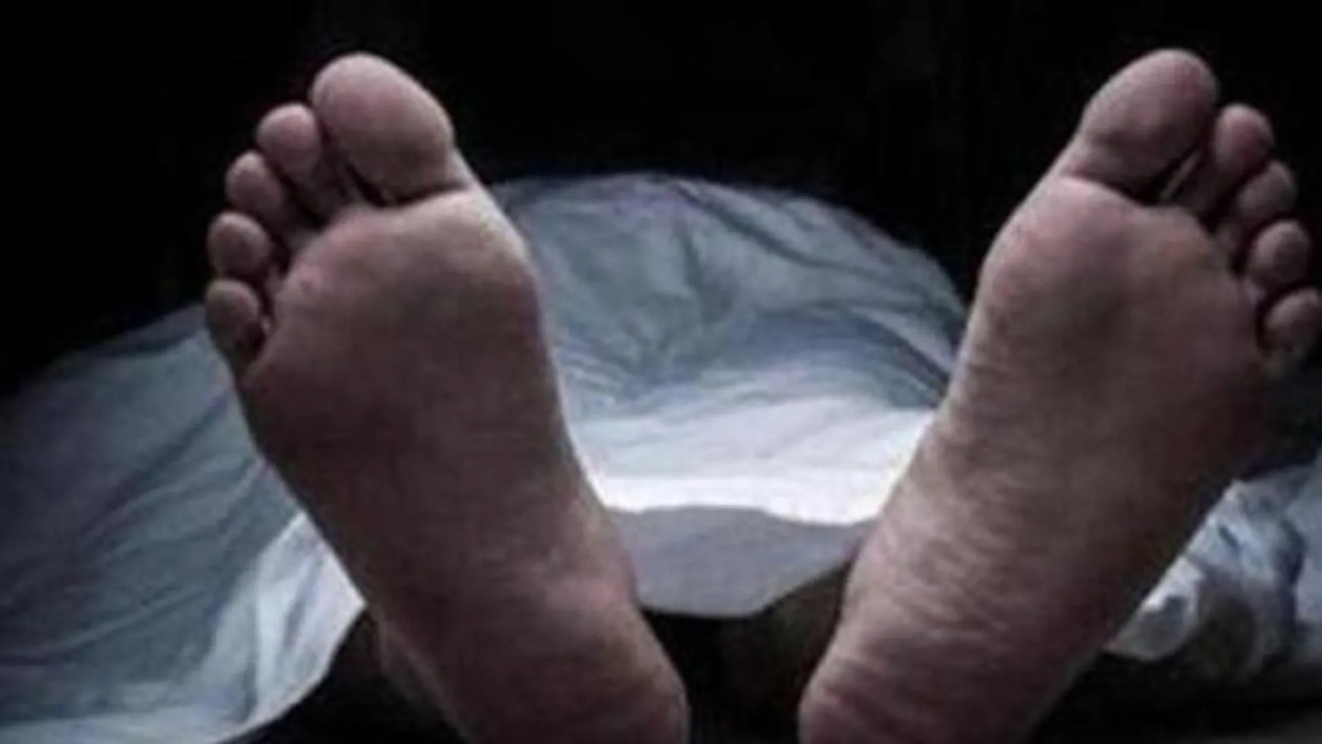 ଅଂଶୁଘାତରେ ଗାଈ ଜଗୁଆଳିଙ୍କ ମୃତ୍ୟୁ