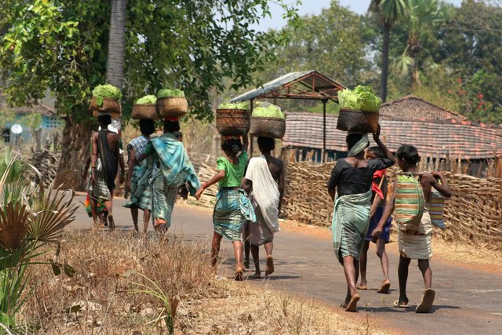 ଆଦିବାସୀ ଓ ଜଙ୍ଗଲ ଅଧିକାରକୁ ନେଇ କର୍ମଶାଳା : ‘ଧର୍ମ ପରିବର୍ତନ ଓ ଅନ୍ଧବିଶ୍ୱାସ ବିକାଶରେ ବାଧା’