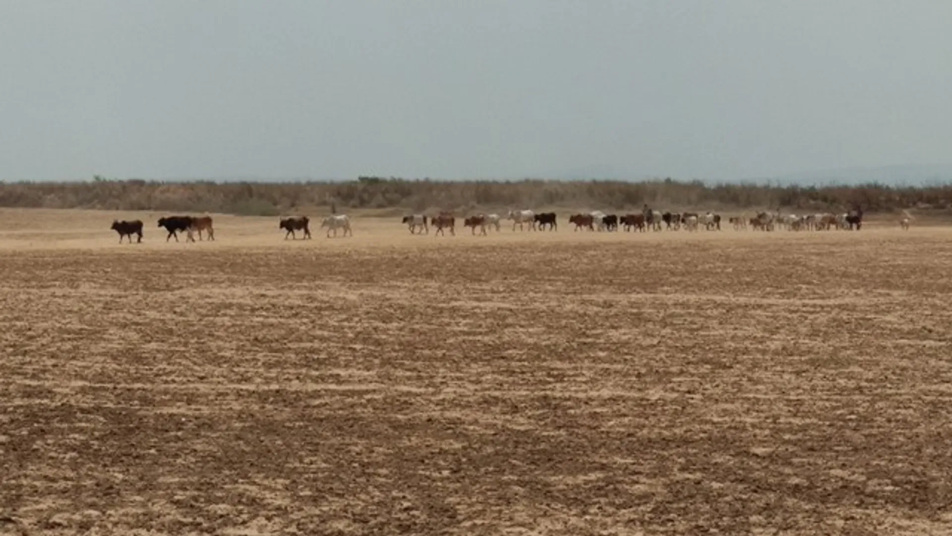 ମହାନଦୀ ଉପରମୁଣ୍ଡରେ ବ୍ୟାରେଜ୍‌ ନିର୍ମାଣ ଘଟଣା : ନିଜ ମାଟିରେ ଛତିଶଗଡ଼ ସରକାର ‘ଗୃହଶତ୍ରୁ’, ଜୀବିକା ହରାଇଛନ୍ତି ହଜାର ହଜାର ମତ୍ସ୍ୟଜୀବୀ
