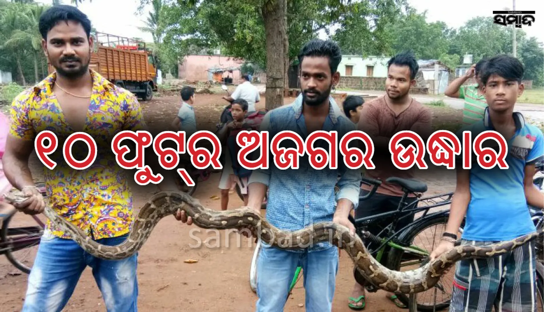 ୧୦ ଫୁଟ୍‌ ଲମ୍ବର ଅଜଗର ସାପ ଉଦ୍ଧାର