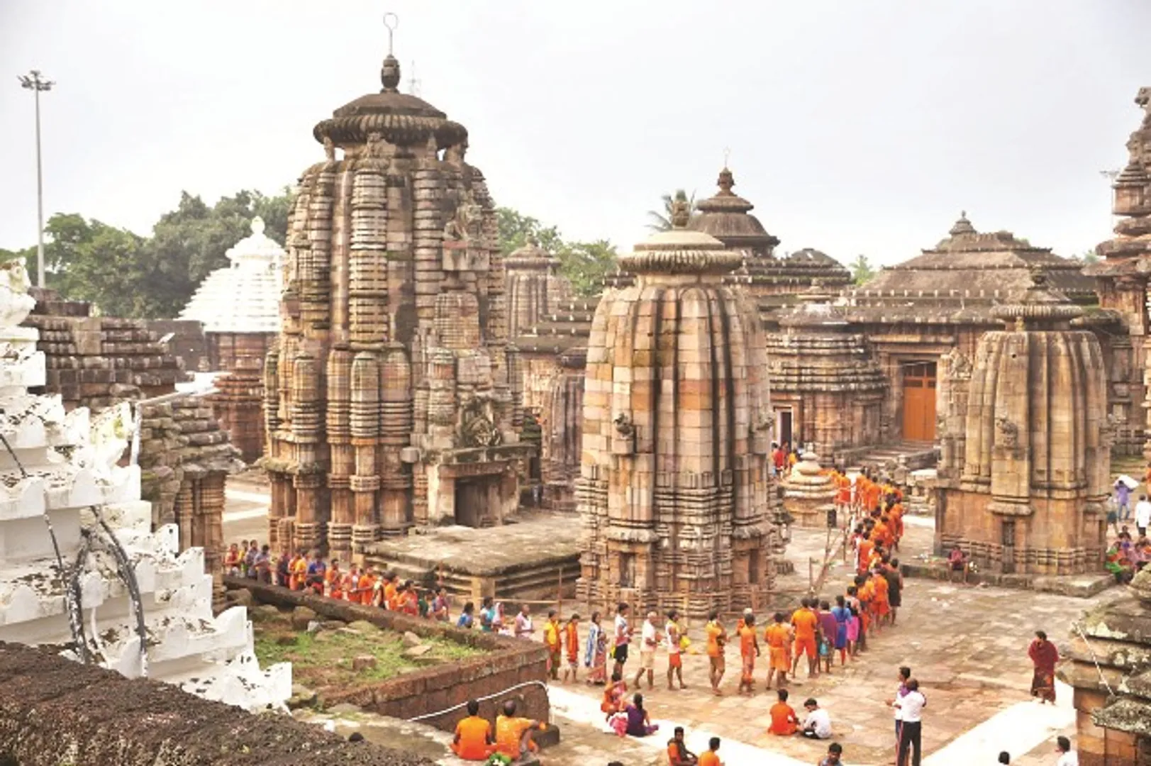 ଜଳଲାଗି କଲେ ୨୦ ହଜାରରୁ ଅଧିକ କାଉଡ଼ିଆ