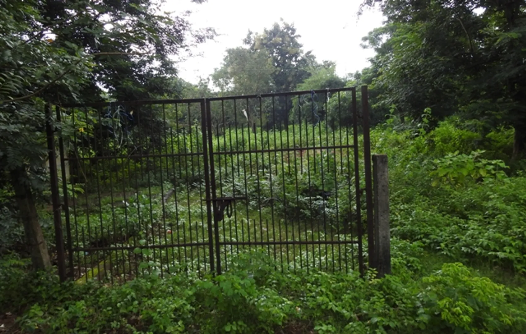 ସୌନ୍ଦର୍ଯ୍ୟ ହରାଉଛି ଉତ୍କଳ ବିଶ୍ୱବିଦ୍ୟାଳୟ : ଜରାଜୀର୍ଣ୍ଣ ଅବସ୍ଥାରେ ଦୁଇ ପାର୍କ