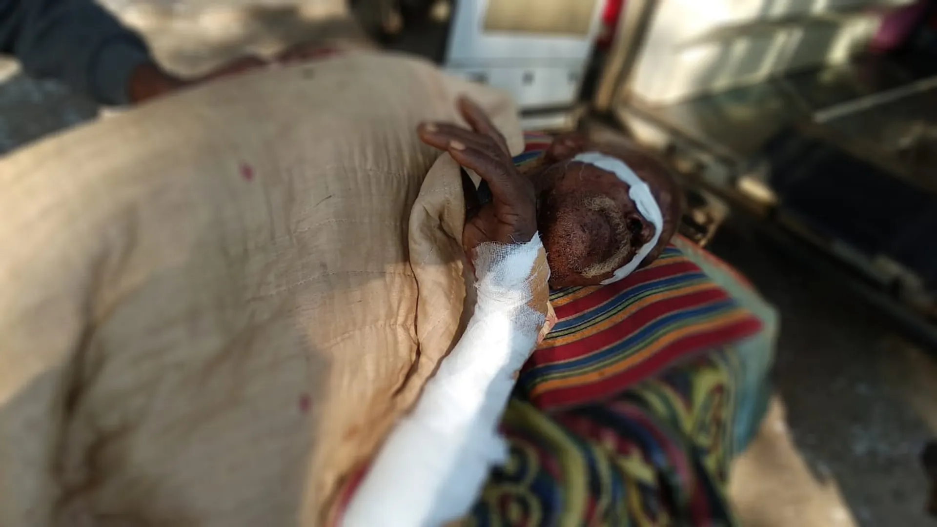 ଦେବଗଡ଼ : ଭାଲୁ ଆକ୍ରମଣରେ ଜଣେ ଗୁରୁତର