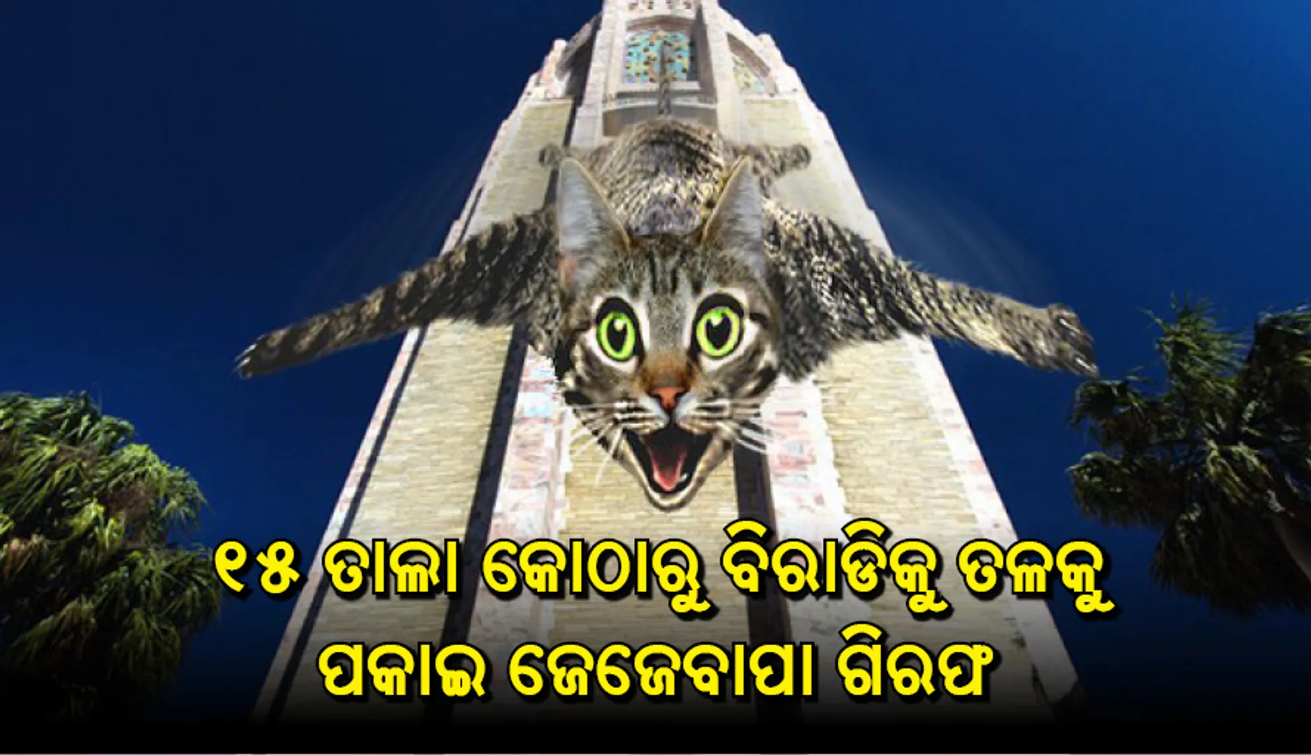 ୧୫ ତାଲାରୁ ପଡ଼ୋଶୀଙ୍କ ବିରାଡ଼ିକୁ ତଳକୁ ପକାଇ ୬୪ ବର୍ଷିୟ ବ୍ୟକ୍ତି ଗିରଫ