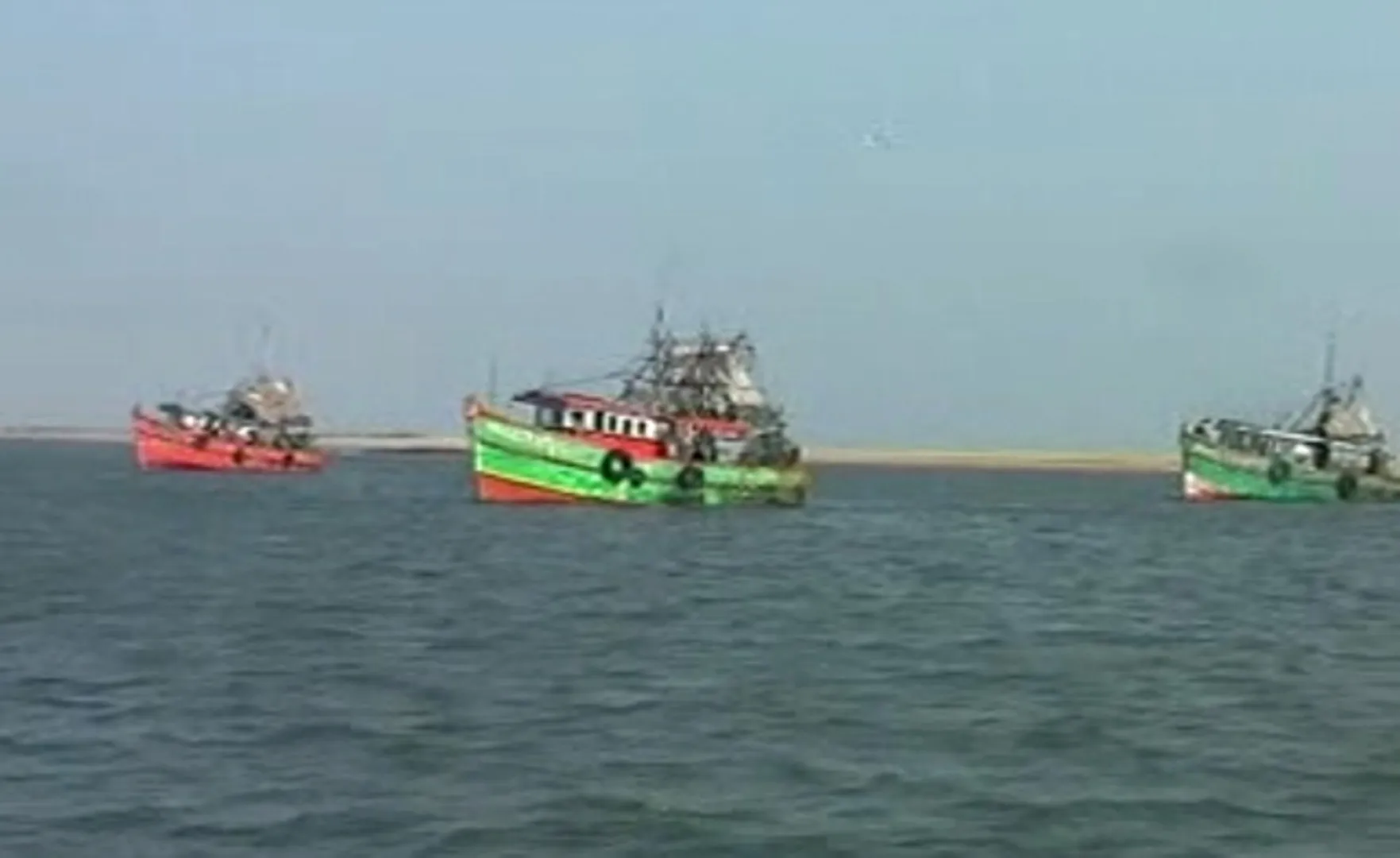 ବ୍ରହ୍ମଗିରି :  ଅଲିଭ୍‌ ରିଡ୍‌ଲେ କଇଁଚ୍ଛଙ୍କ ପାଇଁ ବିପଦ ସାଜିଛି ନିଷିଦ୍ଧାଞ୍ଚଳରେ ଅବାଧ ଟ୍ରଲର ଚଳାଚଳ