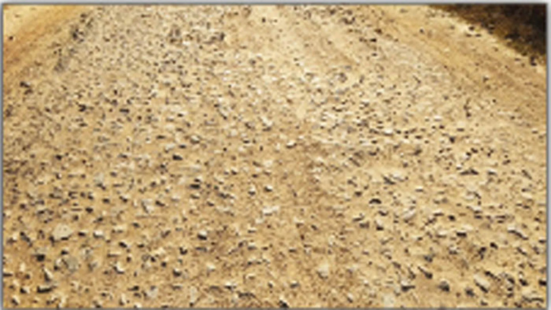 ରାସ୍ତା ଶୋଚନୀୟ, ବିଭାଗ ମୂକଦ୍ରଷ୍ଟା