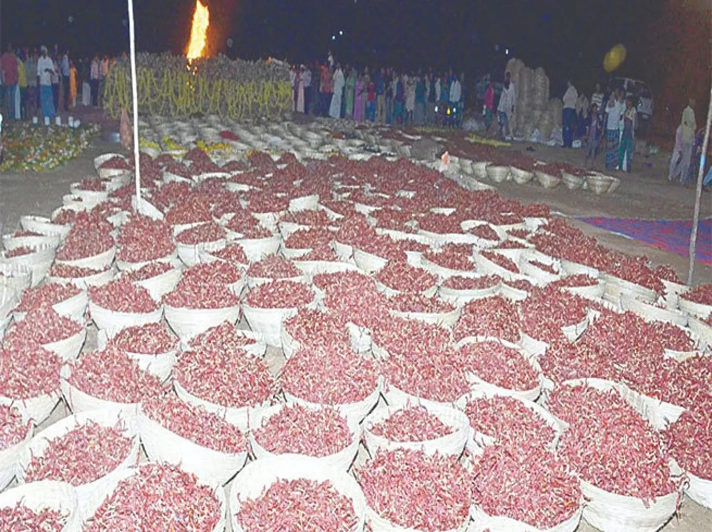 ଅମାବାସ୍ୟାରେ ଦେବୀଙ୍କ ପାଖରେ ୧୦୦୮ କିଲୋ ଶୁଖିଲା ଲଙ୍କାରେ ହେଲା ହୋମ