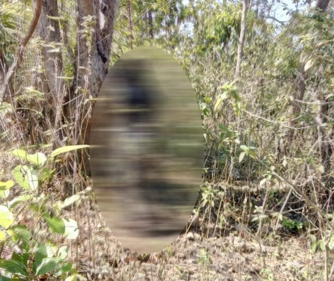 ଛାତ୍ରୀଙ୍କୁ ଦୁଷ୍କର୍ମ ପରେ ହତ୍ୟା!