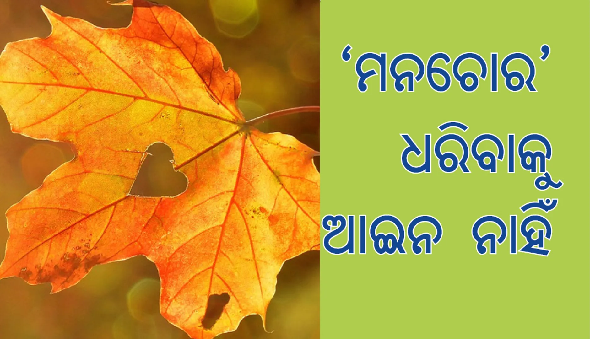 ଚୋରି ହୋଇଥିବା ‘ମନ’ ଖୋଜିବାକୁ ପୁଲିସକୁ କହିଲେ ଯୁବକ; ପୁଲିସ କହିଲା ...