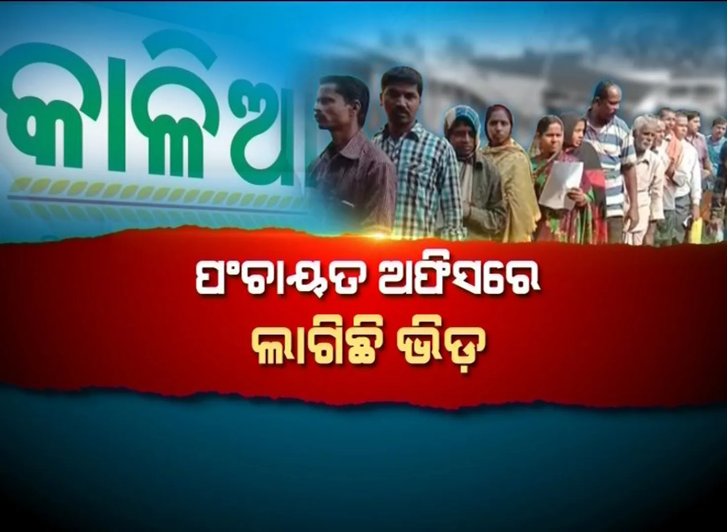 କାଳିଆ ଯୋଜନା କଲା କିମିଆ! ଗାଁକୁ ଫେରିଲେ ହଜାର ହଜାର ବିଦେଶରେ ରହୁଥିବା ଲୋକ, ପଞ୍ଜାୟତ ଅଫିସ୍‌ ସାମ୍ନାରେ ଲମ୍ବା ଧାଡ଼ି