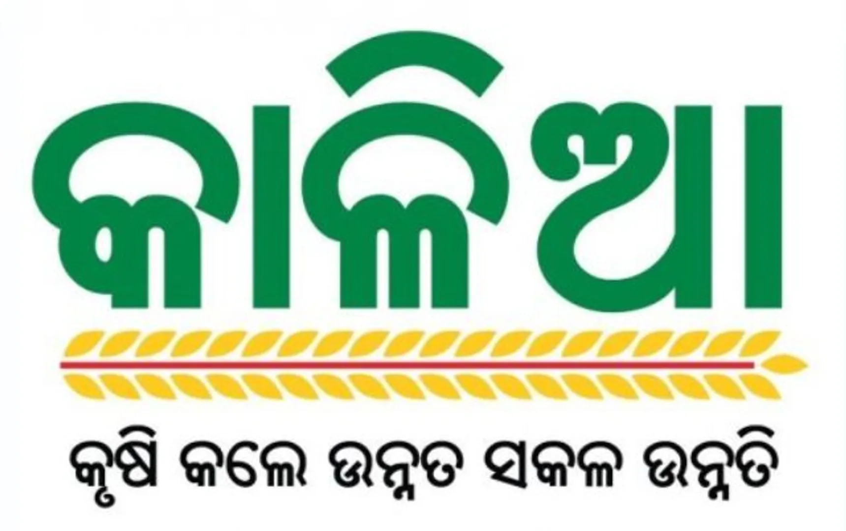 କାଳିଆ ଯୋଜନା ବନ୍ଦ ନେଇ ସିଇଓ ଜବାବ ଦିଅନ୍ତୁ: ବିଜେପି