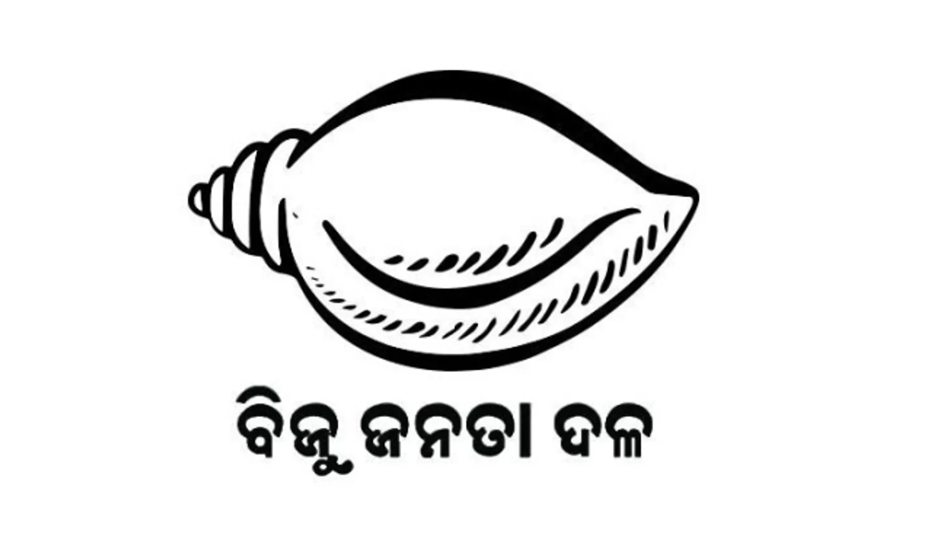 ବିଜେଡି ସାଂଗଠନିକ ସ୍ତରରେ ନିଯୁକ୍ତି