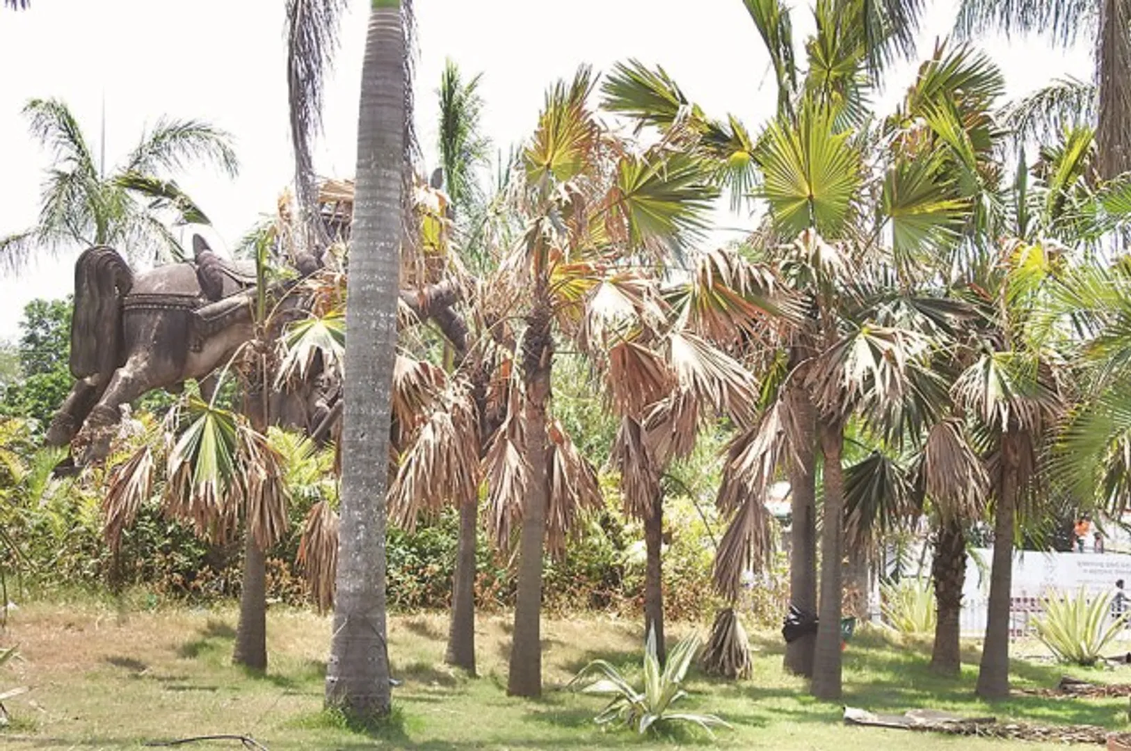 ଭୁବନେଶ୍ବର :  ଉଜୁଡ଼ିଗଲାଣି ସହରର ପ୍ରମୁଖ ଛକର ଶୋଭାରାଜି