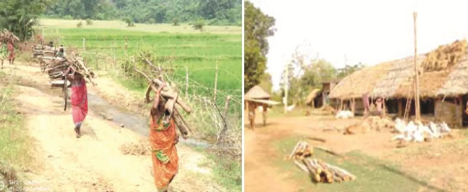 ଢିପାମାଳ ସମେତ ତିନିଟି ଗାଁ ଏବେ ବି ଅବହେଳିତ, ନାଲିଫିତା ତଳେ ଆଦିବାସୀଙ୍କ ବିକାଶ