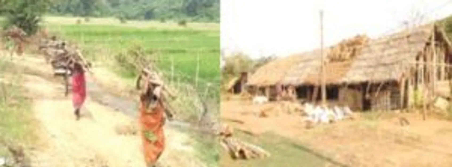 ଢିପାମାଳ ସମେତ ତିନିଟି ଗାଁ ଏବେ ବି ଅବହେଳିତ, ନାଲିଫିତା ତଳେ ଆଦିବାସୀଙ୍କ ବିକାଶ