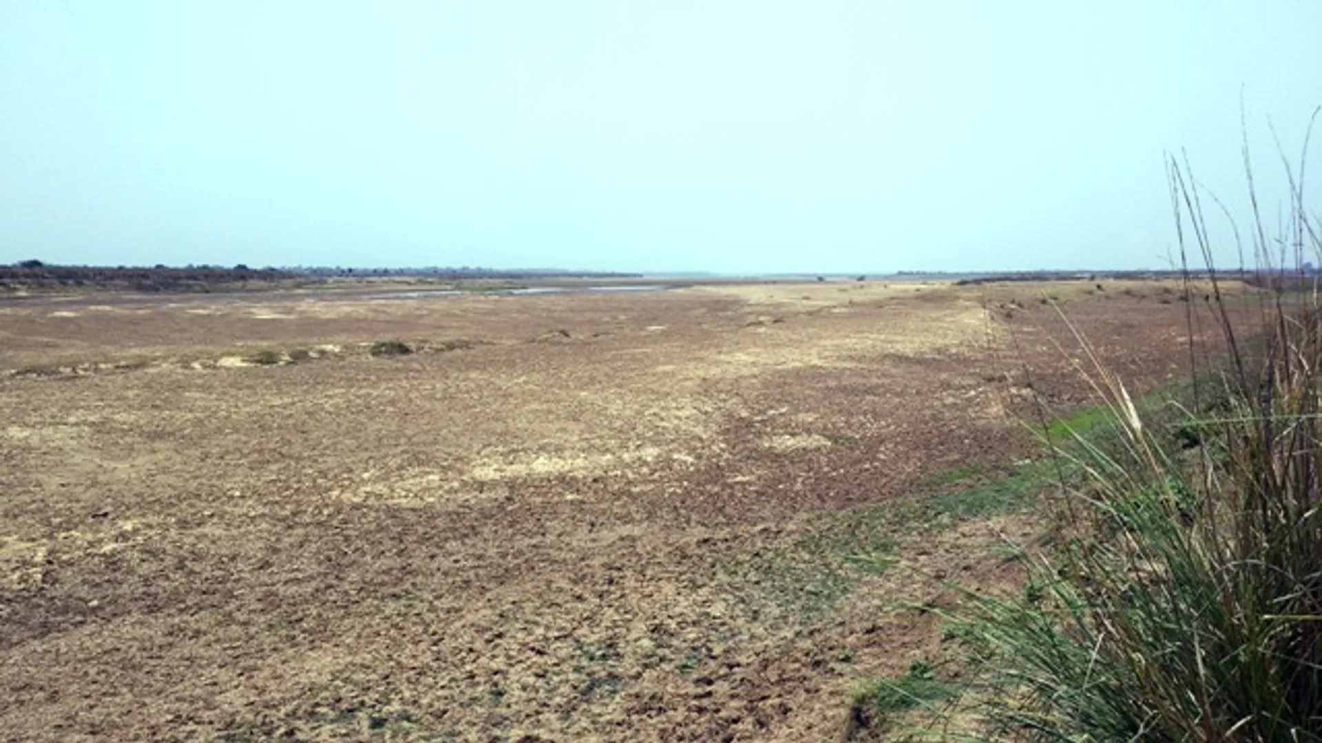 ଫିକା ପଡ଼ିଲା ମହାନଦୀ ପ୍ରସଂଗ : ଶୁଖିଲା ପଡ଼ିଛି ନଦୀ ଶଯ୍ୟା