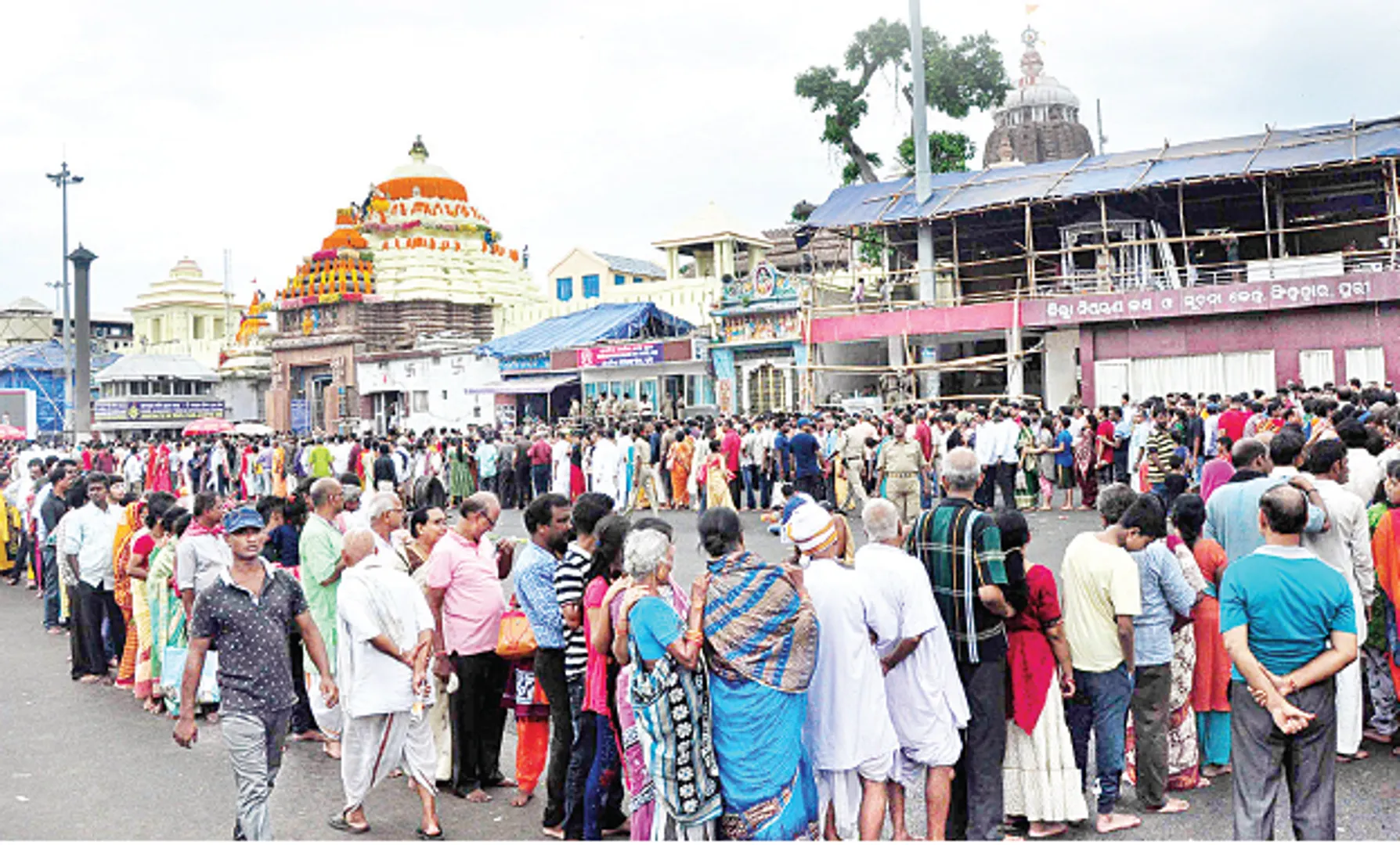 ମହାପ୍ରଭୁଙ୍କ ନବଯୌବନ, ବର୍ଷା ସତ୍ତ୍ବେ ଦର୍ଶନ କଲେ ଲକ୍ଷାଧିକ ଶ୍ରଦ୍ଧାଳୁ