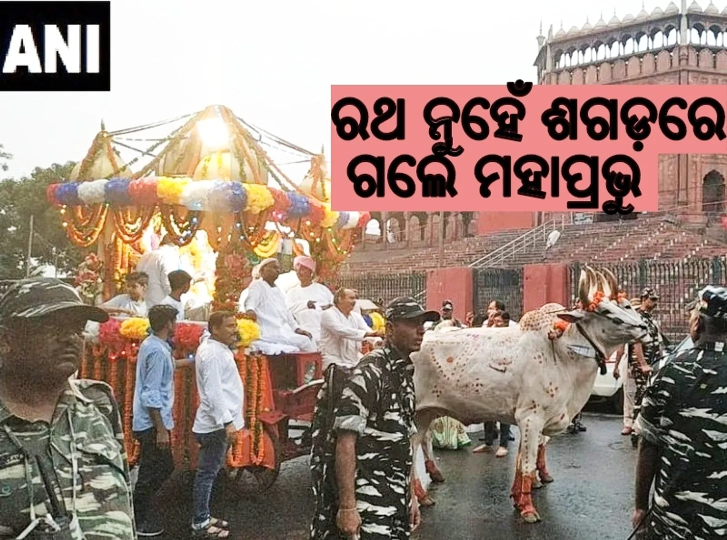 ଶଗଡ଼ରେ ଜଗନ୍ନାଥ ଗଲେ ମାଉସୀଘର, ଭକ୍ତିର ବର୍ଷାରେ ଭିଜିଲା ଦିଲ୍ଲୀ ସହର