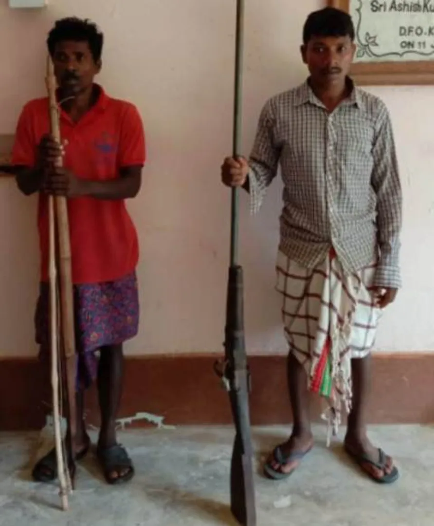 ଶିକାର ଅଭିଯୋଗ : ଶିମିଳିପାଳରୁ ବାପ, ପୁଅ ଗିରଫ