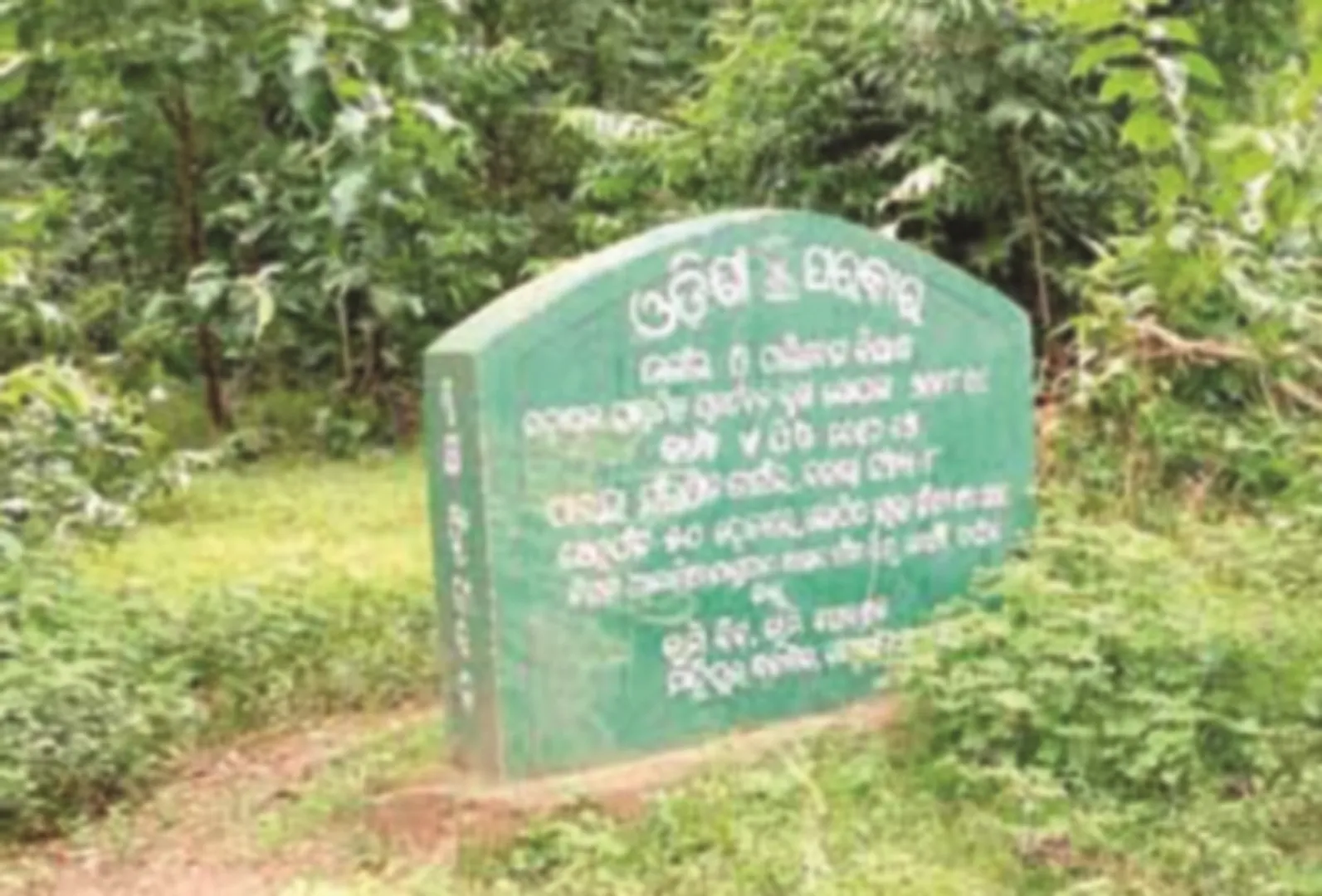 ଭାରତୀୟ ରାଜ୍ୟ ସମୂହ ଜଙ୍ଗଲ ରିପୋର୍ଟ-୨୦୨୧: ଓଡ଼ିଶାରେ ୫୩୭ ବର୍ଗ କିମି ଜଙ୍ଗଲ ବଢ଼ିଛି