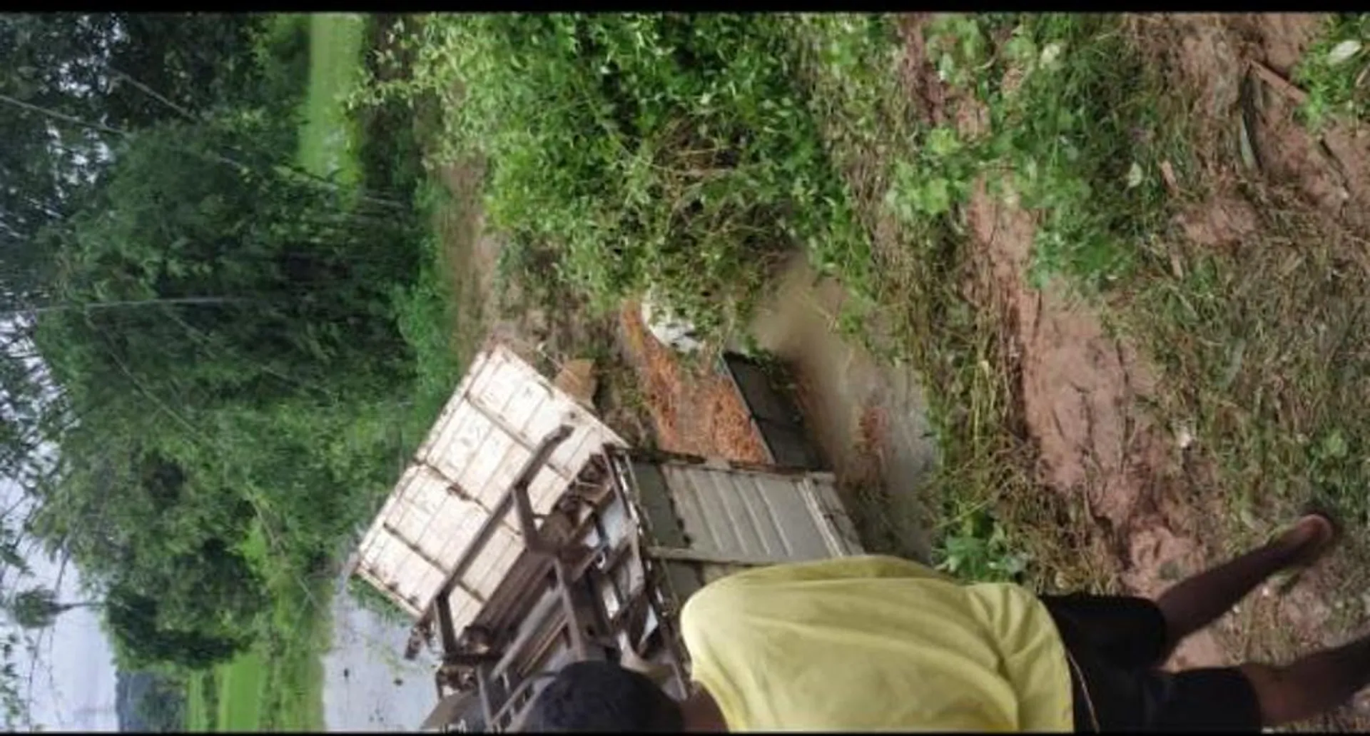 ଓଲଟିଲା ଗୋରୁ ବୋଝେଇ ଭ୍ୟାନ୍‌: ଘଟଣାସ୍ଥଳରେ ୧୪ ଗୋରୁ ମୃତ