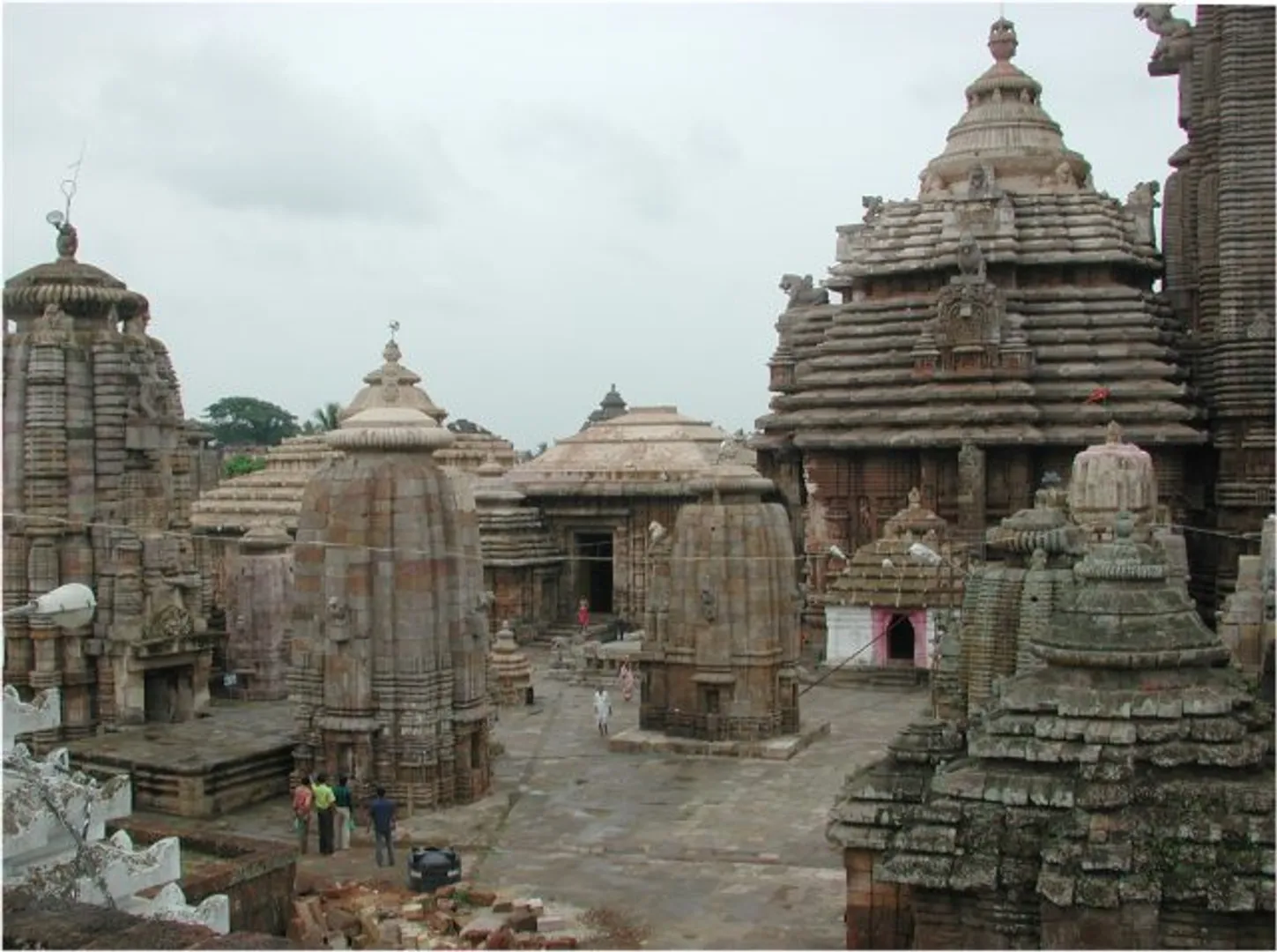 ଲିଙ୍ଗରାଜଙ୍କ ୫୦ କୋଟି ଟଙ୍କାର ଜମି ଜବରଦଖଲ ଓ ବେଆଇନ ନିର୍ମାଣକୁ ବିରୋଧ କରି  ବ୍ରାହ୍ମଣ ଓ ପୂଜାପଣ୍ଡା ନିଯୋଗର ଅସହଯୋଗ, ଉପବାସରେ ମହାପ୍ରଭୁ