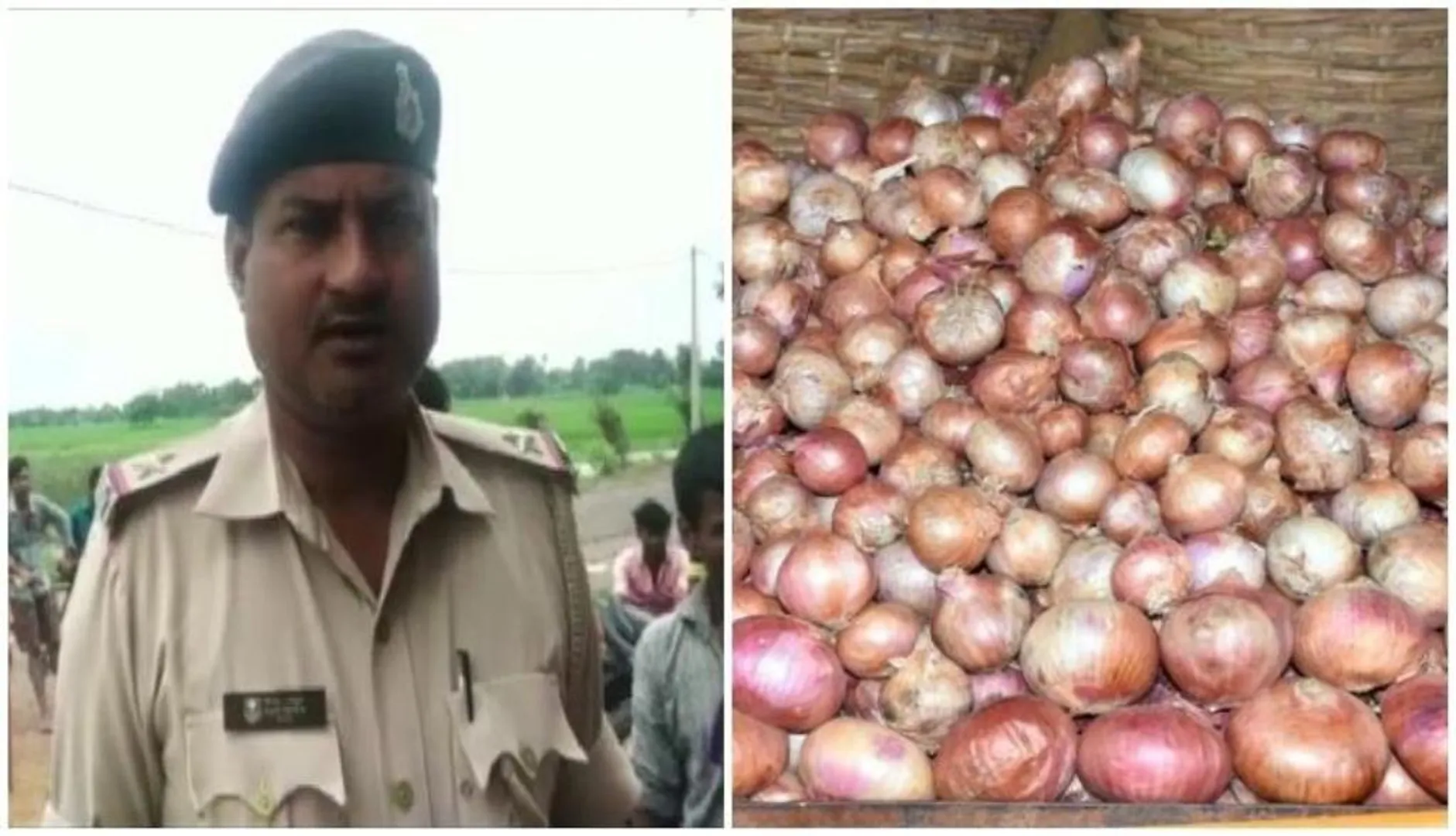ଚାଷୀଙ୍କ ଗୋଦାମ୍‌ରୁ ୧ ଲକ୍ଷ ଟଙ୍କାର ପିଆଜ ଚୋରି କରି ଦୁର୍ବୃତ୍ତ ଚମ୍ପଟ