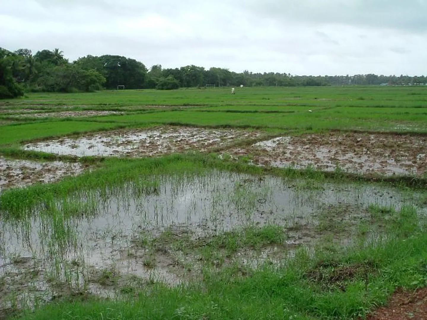 ସ୍ଥାବର ସମ୍ପତ୍ତିର ବଜା‌ର ମୂଲ୍ୟ ବୃଦ୍ଧି ଉପରେ ରୋକ୍‌ ଲାଗିଲା