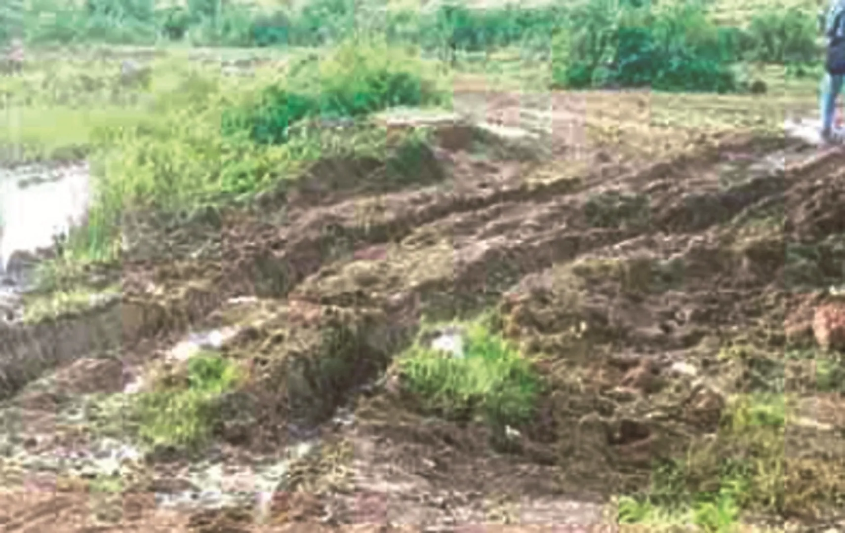 ସ୍ୱାଧୀନତାର ୭୩ ବର୍ଷ ପରେ ବି ଓଡ଼ଗାଁ ବ୍ଲକ୍‌ ବାଣ୍ଠପୁର ପଞ୍ଚାୟତ ଅନ୍ତର୍ଗତ ଆଦିବାସୀ ଗାଁ ‘ଲାଣ୍ତିଗିରି’କୁ ନାହିଁ ସ୍ଥାୟୀ ରାସ୍ତାଟିଏ