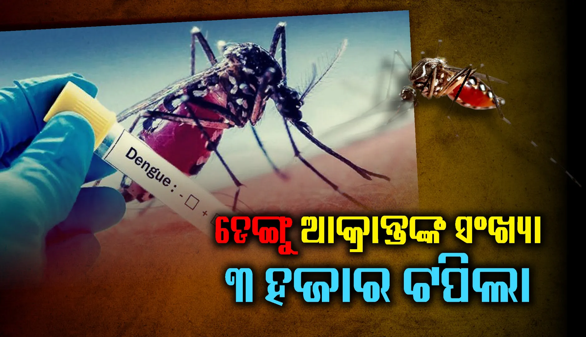 ରାଜ୍ୟରେ ଡେଙ୍ଗୁ ଆକ୍ରାନ୍ତଙ୍କ ସଂଖ୍ୟା ୩ ହଜାର ଟପିଲା