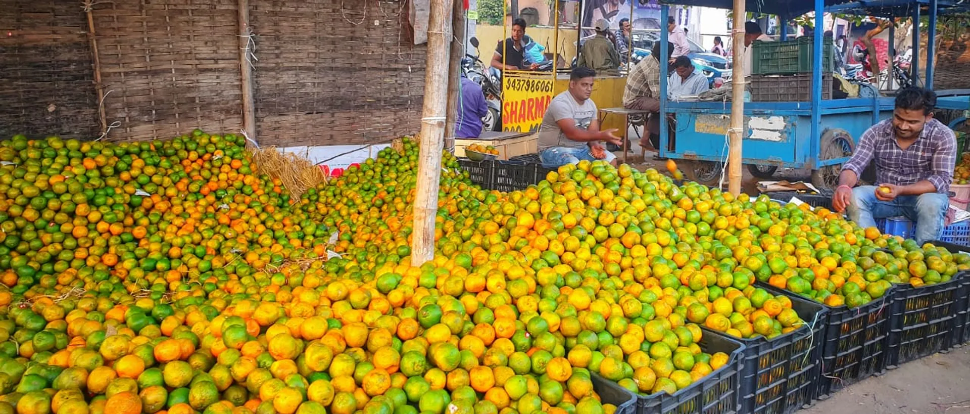 ରାଜରାସ୍ତା କଡ଼ରେ ଫଳ ପସରା। (ଫଟୋ: ଚିକୁ, ଅନୁଗୁଳ)