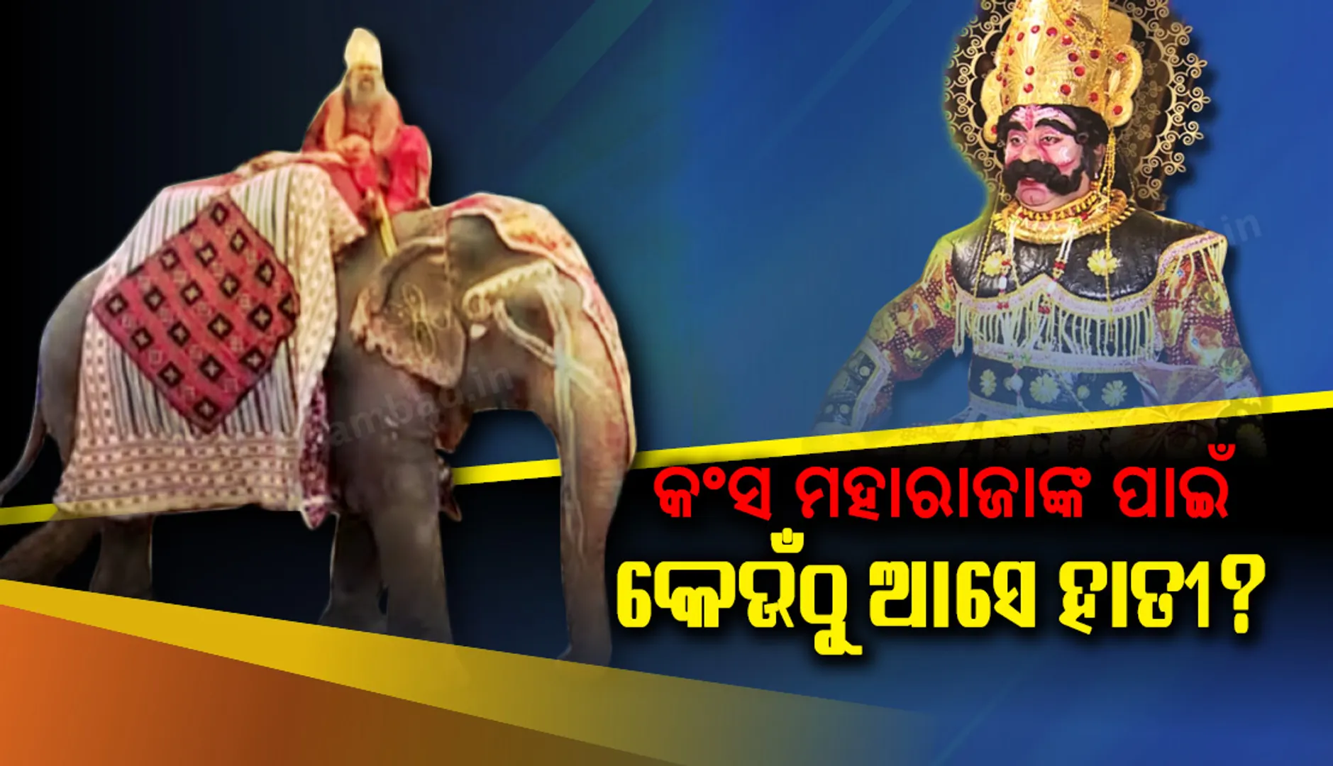 ବିଶ୍ୱ ପ୍ରସିଦ୍ଧ ବରଗଡ଼ ଧନୁ ଯାତ୍ରାରେ ମହାରାଜା କଂସଙ୍କୁ ପିଠିରେ ବସାଇ ମଥୁରା ନଗରୀ ବୁଲାଉଥିବା ହାତୀ କେଉଁଠୁ ଆସେ? ଆସନ୍ତୁ ଜାଣିବା