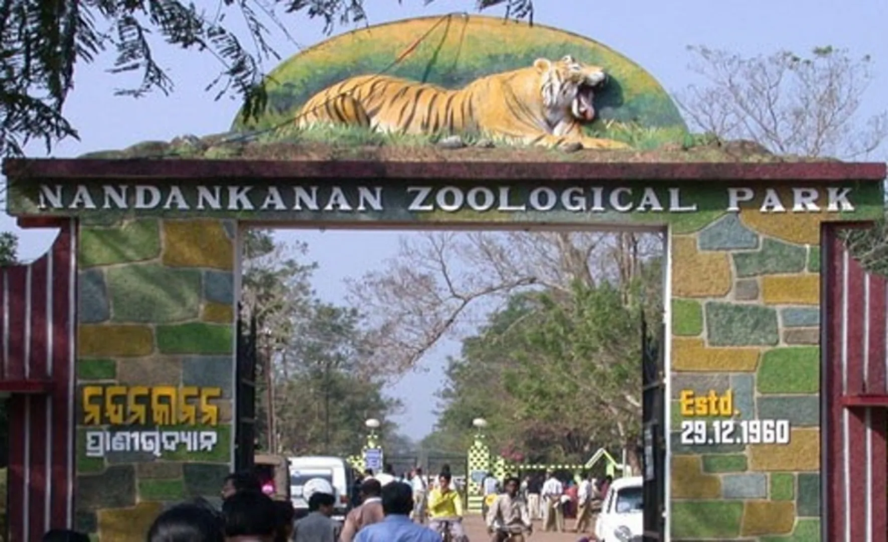 ସିଙ୍ଗାପୁରରୁ ନନ୍ଦନକାନନକୁ ଆସିବ ଧଳା ଗଣ୍ଡା