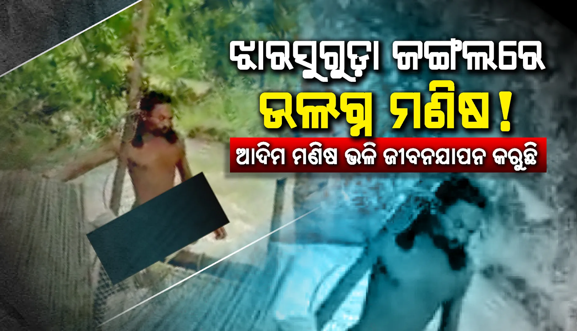ଝାରସୁଗୁଡ଼ା ଜଙ୍ଗଲରେ ଉଲଗ୍ନ ମଣିଷ !