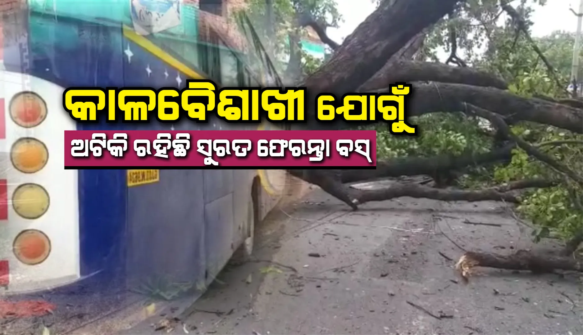 କାଳବୈଶାଖୀ ଯୋଗୁଁ ଅଧାବାଟରେ ଅଟକି ରହିଛି ସୁରଟ ଫେରନ୍ତାଙ୍କ ବସ