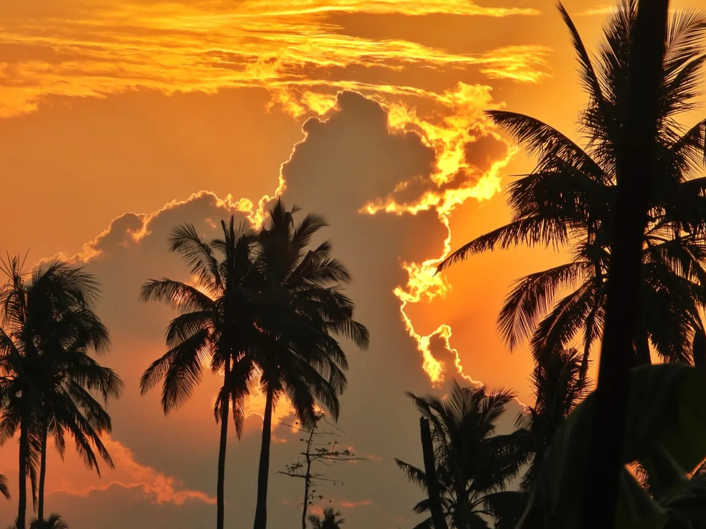 ବାଲେଶ୍ୱରରେ ସୁନେଲି ଆକାଶ ।