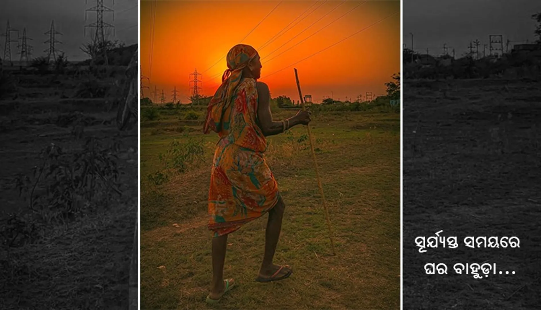 ସୂର୍ଯ୍ୟସ୍ତ ସମୟରେ ଘର ବାହୁଡା । (ଫଟୋ: ତରୁଣ, ଜୟପୁର)