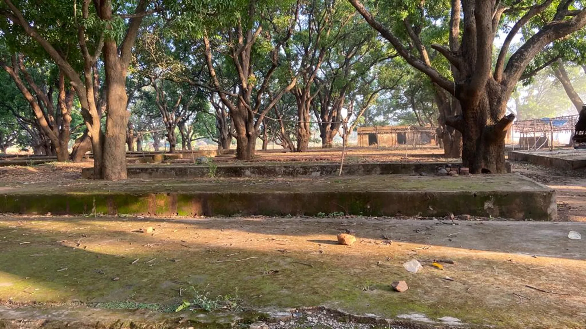 ହାଟ ପାଇଁ ଖୋଲିନାହିଁ ପ୍ରଶାସନର କରୋନା ବାଟ... । (ଫଟୋ: ତରୁଣ, ଜୟପୁର)