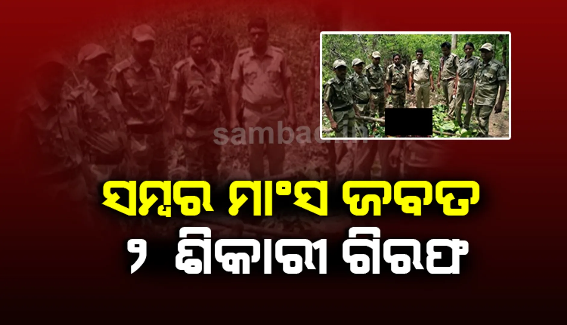 ବୌଦ୍ଧରେ ସମ୍ବର ମାଂସ ଜବତ, ୨ ଜଣ ଶିକାରୀ ଗିରଫ