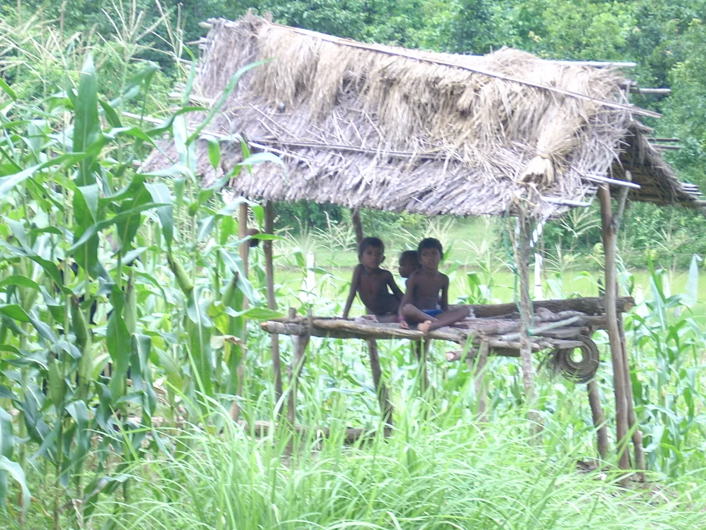 ଶିଳ୍ପନଗରୀରେ ବଢୁଛି ଶିଶୁ ସୁରକ୍ଷା ମାମଲା: ଶିଶୁ ଶ୍ରମିକ, ବାଳିକା ଯୌନ ନିର୍ଯାତନା ଓ ବାଳ ଅପରାଧ ଉଦ୍‌ବେଗଜନକ