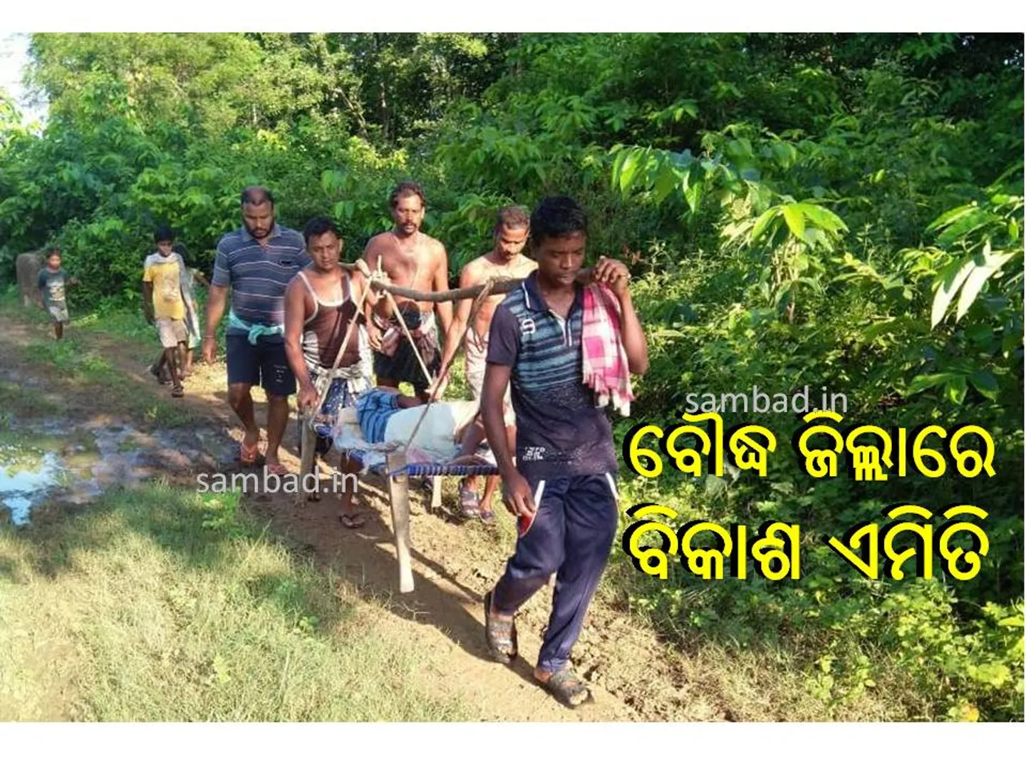 ବ୍ଲକ ଉପାଧ୍ୟକ୍ଷାଙ୍କ ଗାଁକୁ ଆସିପାରିଲାନି ଆମ୍ବୁଲାନ୍ସ, ଖଟିଆରେ ବୁହାହୋଇ ୨କିମି ଗଲେ ଭାଲୁ ଆକ୍ରମଣରେ ଗୁରୁତର ବୃଦ୍ଧ