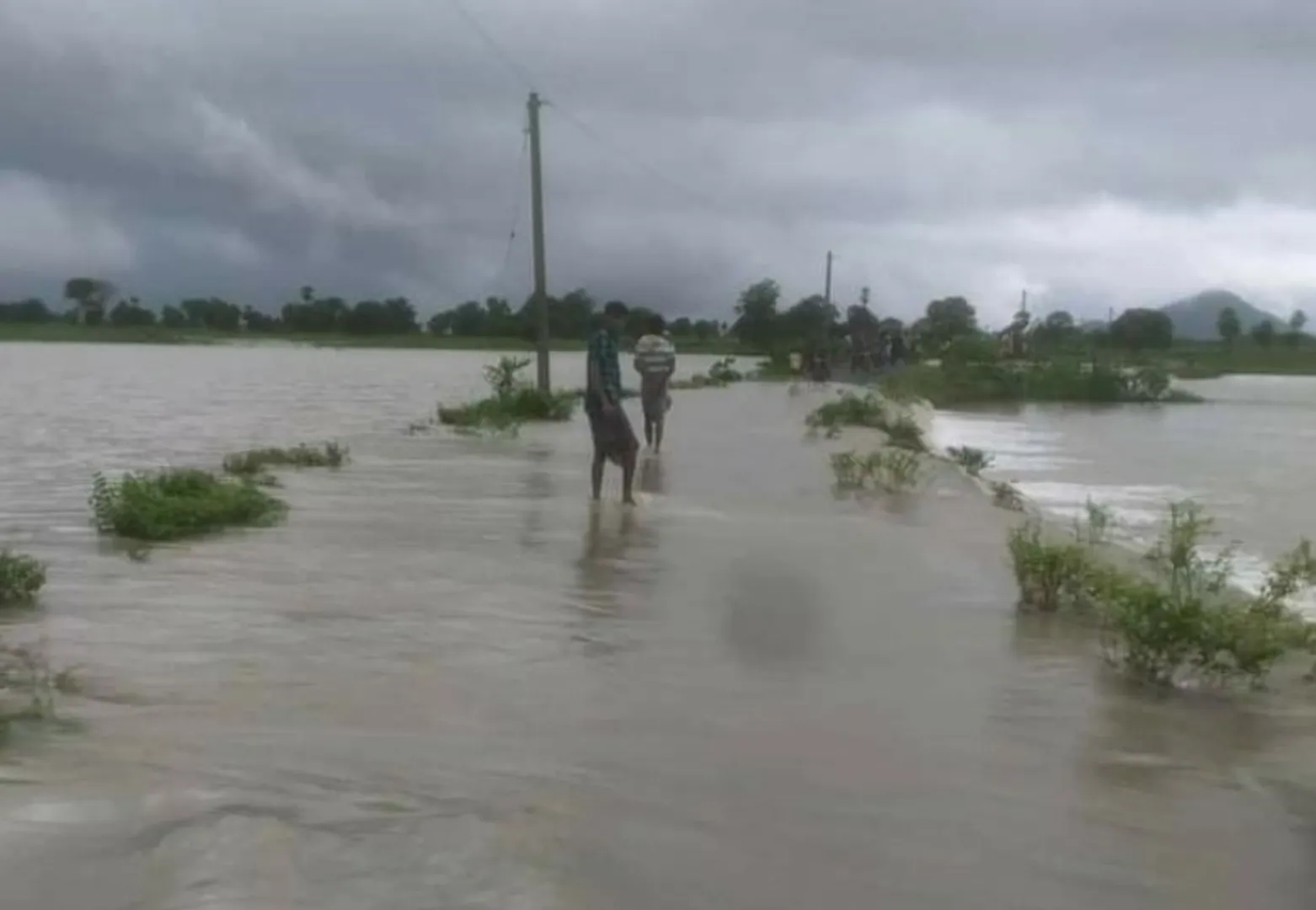 ଖୋର୍ଦ୍ଧା-ବଲାଙ୍ଗୀର ଜାତୀୟ ରାଜପଥରେ ଅଘଟଣ: ଚଳନ୍ତା ଗାଡି ଉପରେ ପଡିଲା ବିଶାଳ ଗଛ, ବର୍ତ୍ତିଲେ ଚାଳକ-ହେଲପର