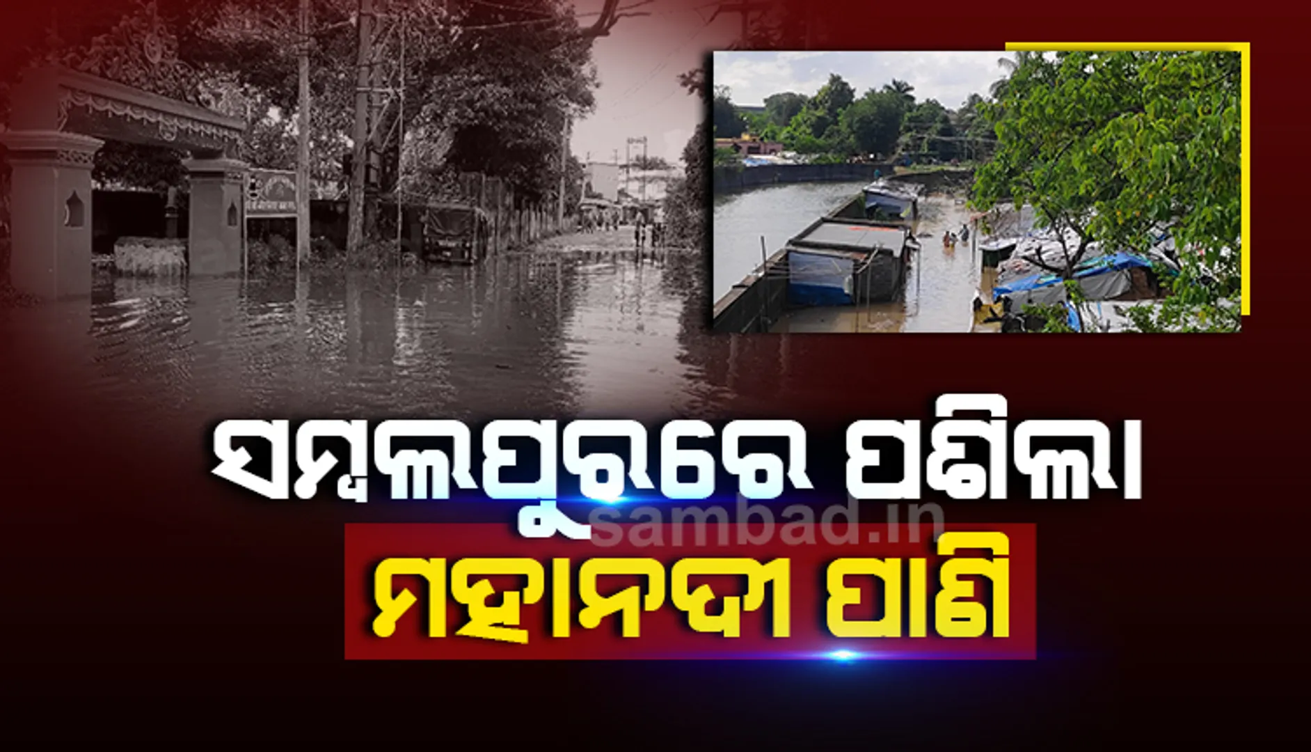 ମହାନଦୀରେ ବନ୍ୟା ଜଳ: ସମ୍ବଲପୁର ସହରର ତଳିଆ ଅଂଚଳରେ ପଶିଲା ପାଣି