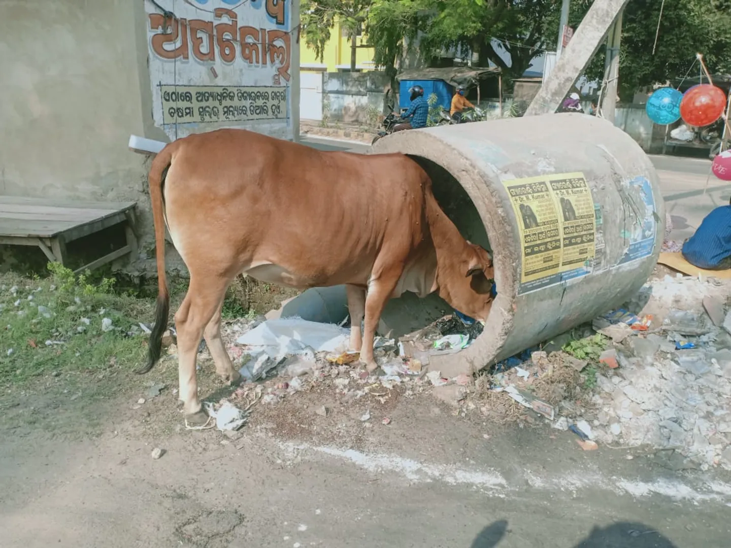 ଖାଦ୍ୟ ଅନ୍ୱେଷଣରେ...(ଫଟୋ: ମନୋଜ, ବାଲେଶ୍ୱର)