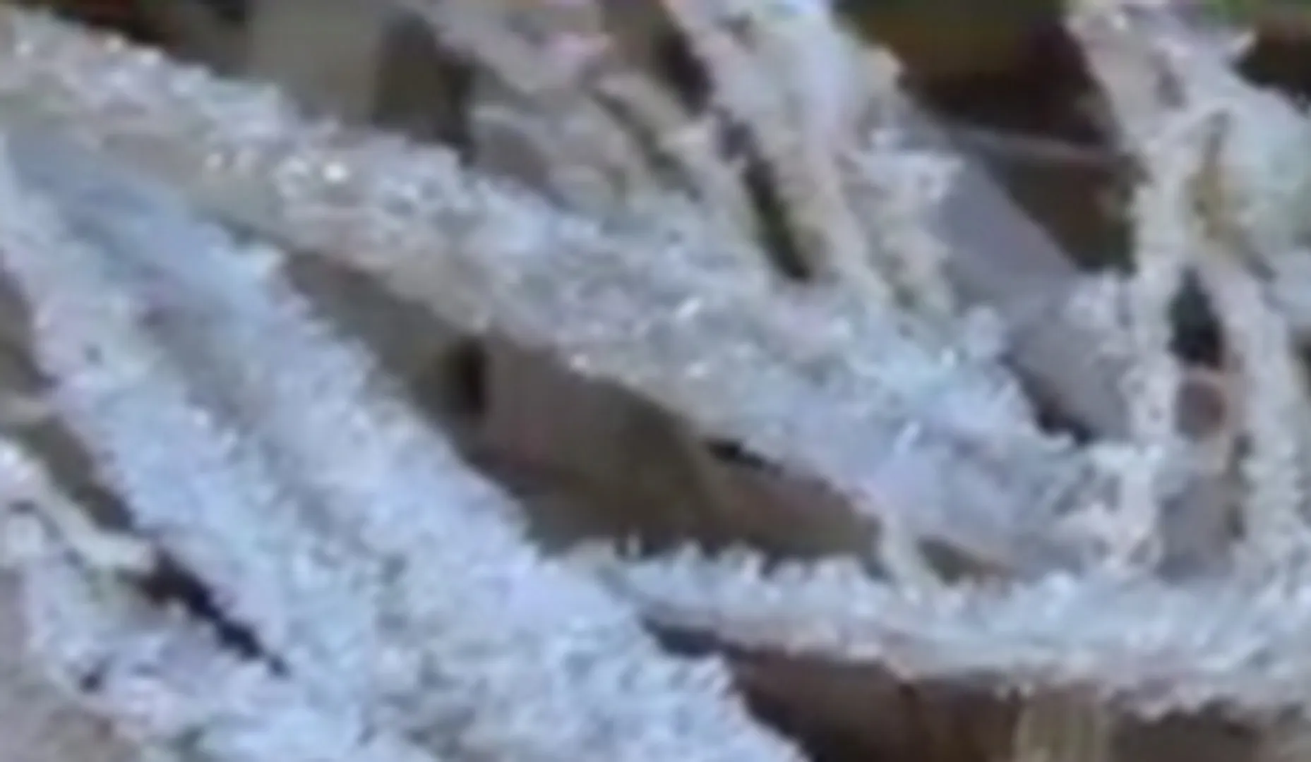 ଦାରିଙ୍ଗବାଡ଼ିରେ ତୁଷାରପାତ, ଫୁଲବାଣୀର ତାପମାତ୍ରା ୪ ଡିଗ୍ରି